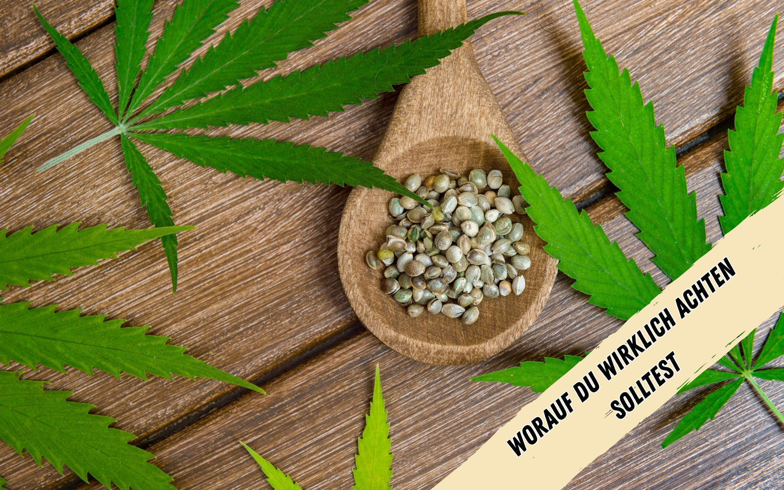 Hanfblätter und ein Esslöffel mit Cannabissamen liegen auf einem Holztisch