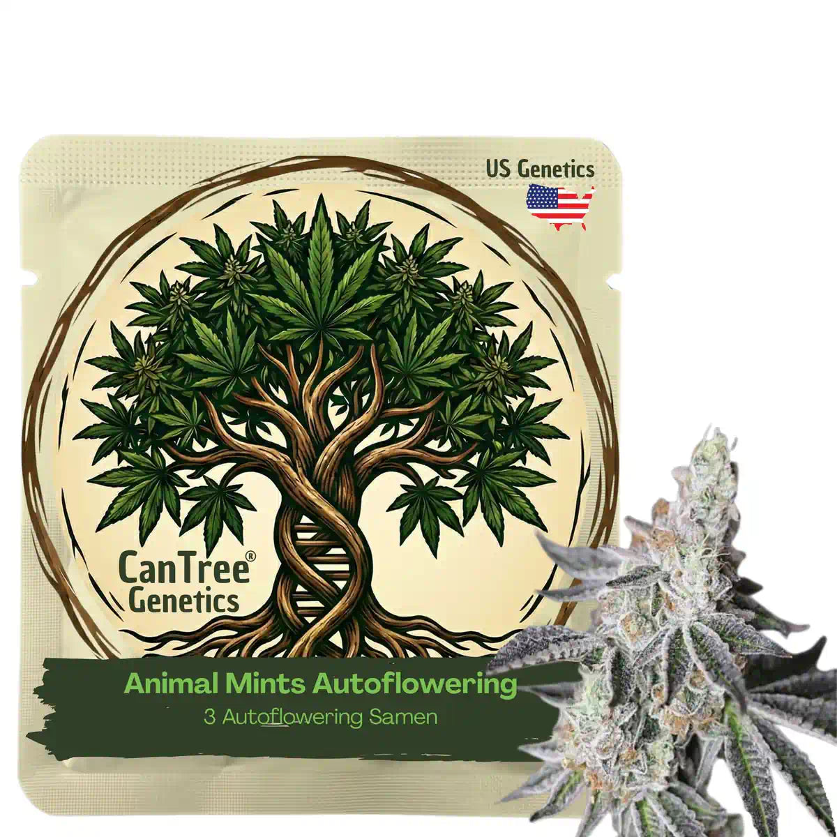 Animal Mints Autoflowering
