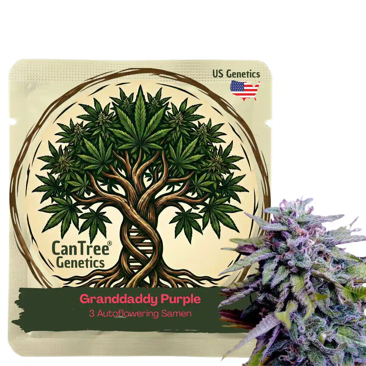 Granddaddy Purple