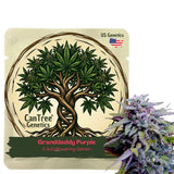 Granddaddy Purple